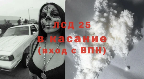 ГАЛЛЮЦИНОГЕННЫЕ ГРИБЫ Баксан